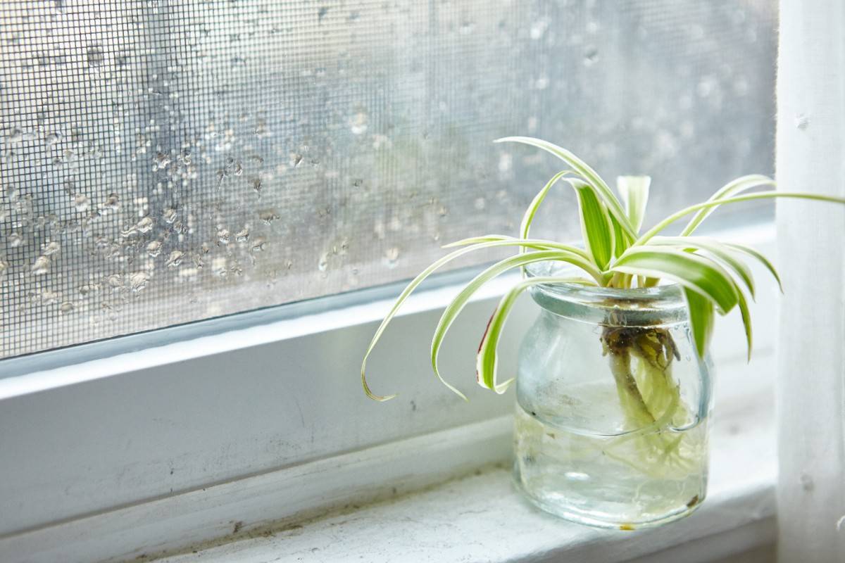 How to Reduce Condensation on Windows